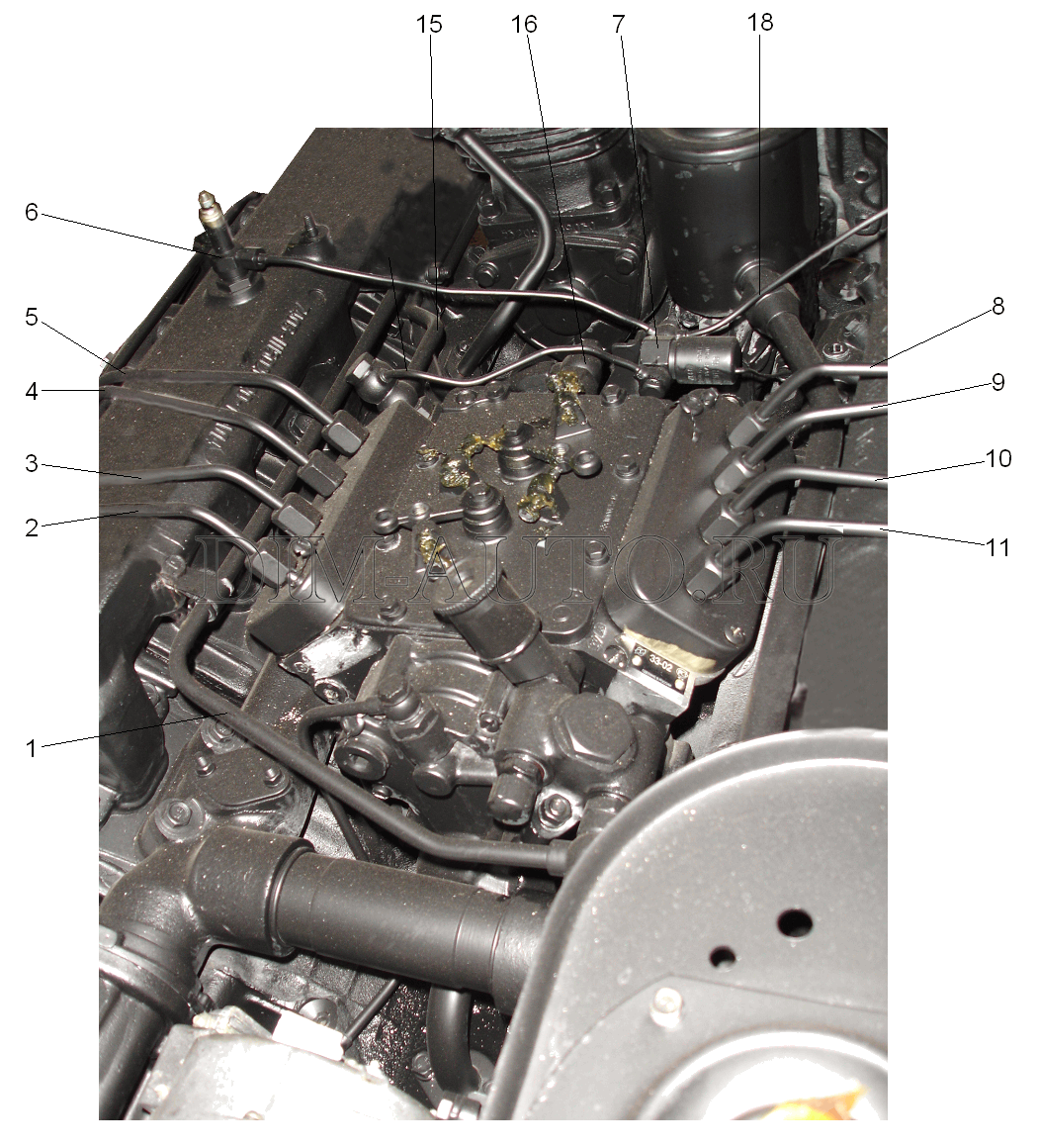 Расположение трубок от тнвд к форсункам камаз евро 2