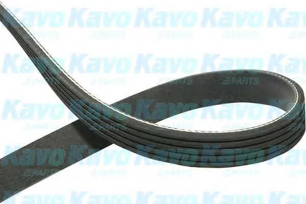 KAVO PARTS DMV-1011 Поликлиновой ремень для SUBARU FORESTER (SH) 2.5 AWD