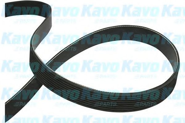 KAVO PARTS DMV9114 Ремень генератора для TOYOTA LAND CRUISER 200 (VDJ2, UZJ2) (Тойота Ланд круисер)