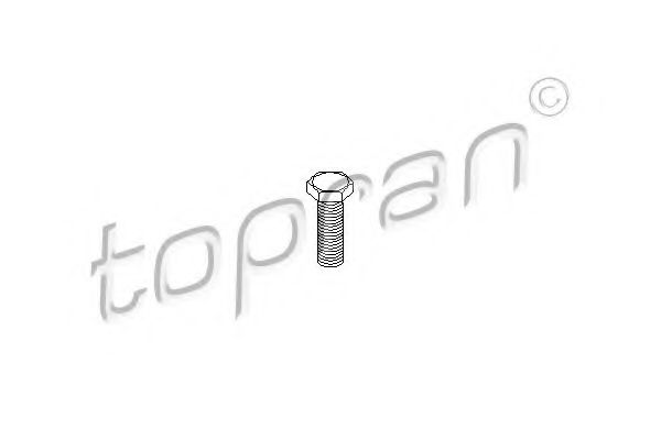 TOPRAN 110 710 Болт,  корпус скобы тормоза  для VOLKSWAGEN TIGUAN (Фольксваген Тигуан)